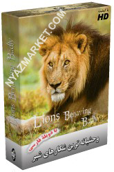http://www.nyazmarket.com/images/mostanad/Lions/Lions.jpg