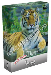 http://www.nyazmarket.com/images/mostanad/Tigers/Panthera-Tigris.jpg
