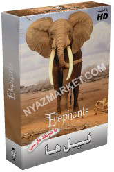 http://www.nyazmarket.com/images/mostanad/elephant/elephant.jpg