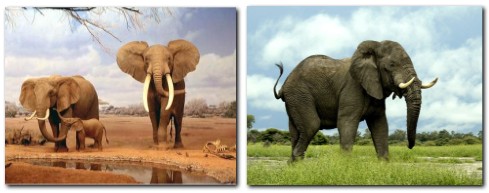 http://www.nyazmarket.com/images/mostanad/elephant/elephant1.jpg