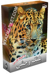 http://www.nyazmarket.com/images/mostanad/leopard/leopard.jpg