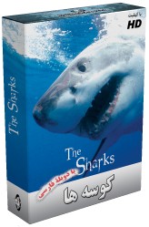 http://www.nyazmarket.com/images/mostanad/sharks/sharks.jpg