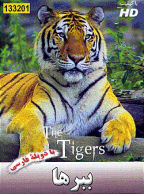 مستند ببرها  - Tiger (دوبله فارسی)