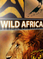 مستند BBC Wild Africa حیات وحش طبیعت پر رمز و راز قاره آفریقا 