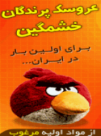 عروسك پرندگان خشمگين(Angry Birds)